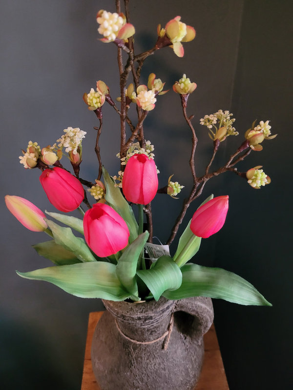 Tulpen fuchsia